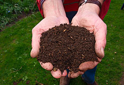 Photo of organic topsoil blend