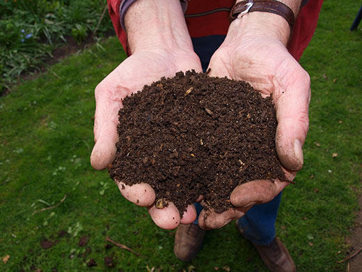 Organic compost blend photo