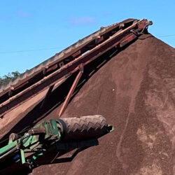 Photo of Screened topsoil